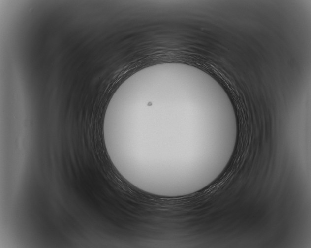 X0000086760096200704130824