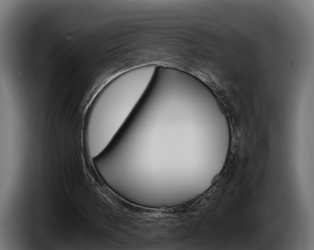 X0000086760098200704130823