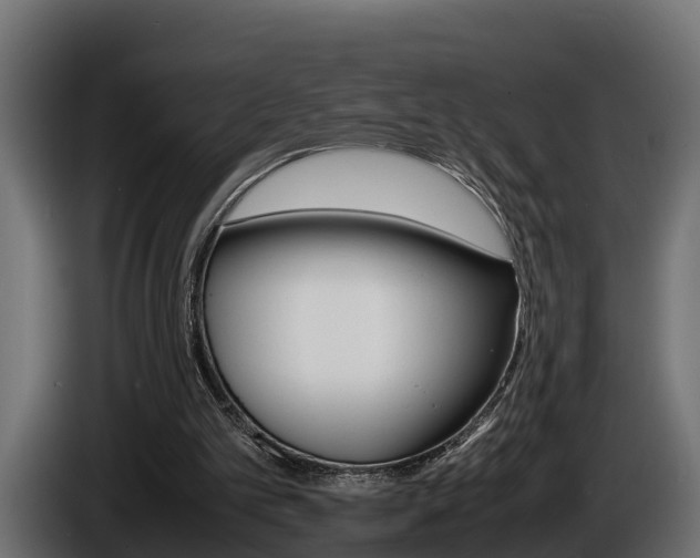 X0000086760101200704130823