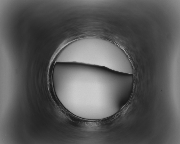 X0000086760102200704130823