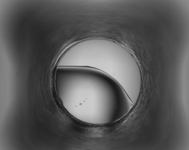 X0000086760103200704130823