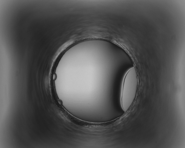 X0000086760104200704130823