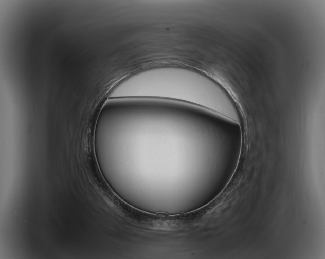 X0000086760105200704130823