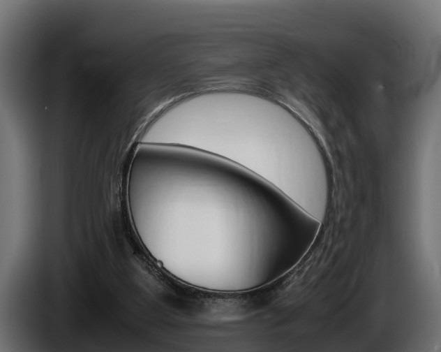 X0000086760107200704130823