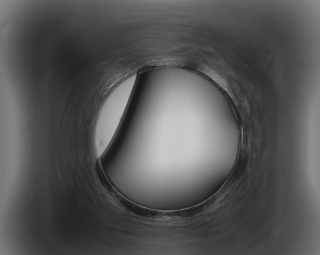 X0000086760109200704130823
