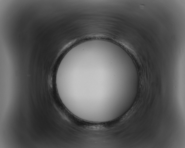 X0000086760112200704130823