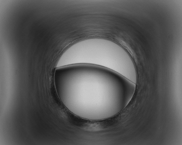 X0000086760113200704130823
