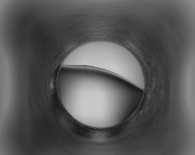 X0000086760115200704130823