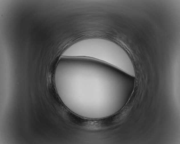 X0000086760117200704130823