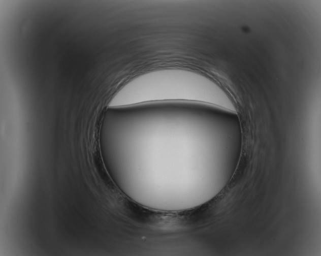 X0000086760121200704130823