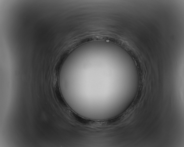 X0000086760129200704130823
