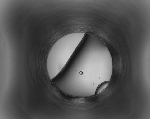 X0000086760132200704130823