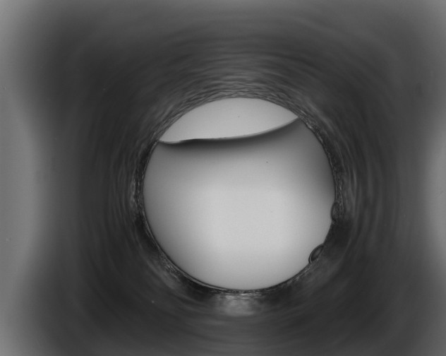 X0000086760134200704130823