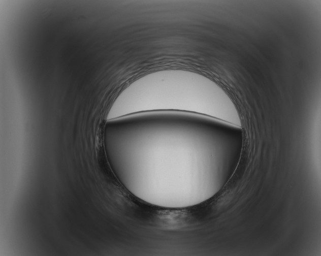 X0000086760135200704130823