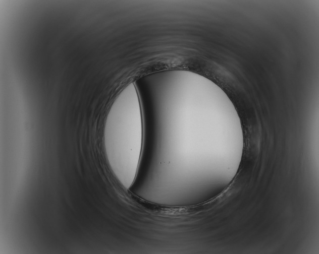 X0000086760136200704130823