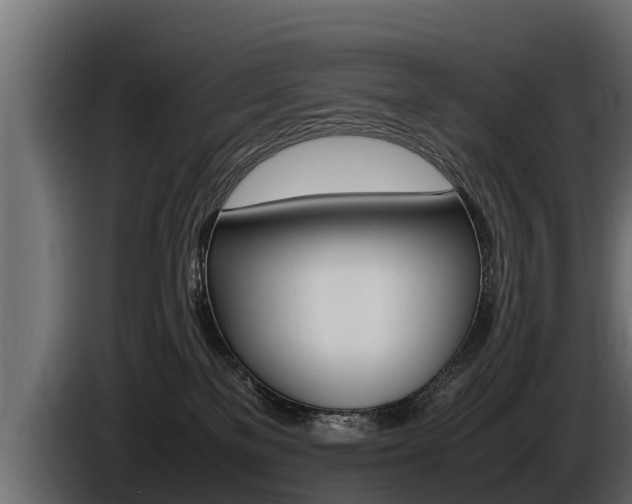 X0000086760137200704130823