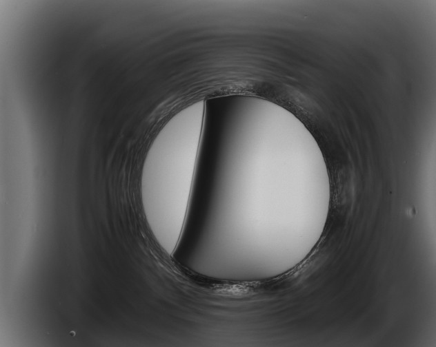 X0000086760140200704130823