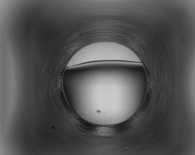 X0000086760141200704130823