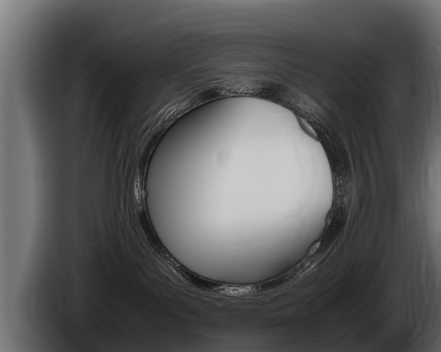 X0000086760143200704130822