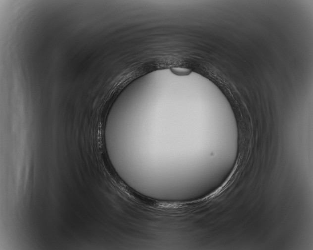 X0000086760144200704130822
