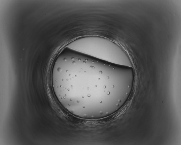 X0000086760145200704130822