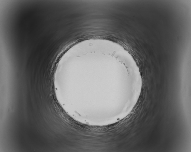 X0000086760146200704130822