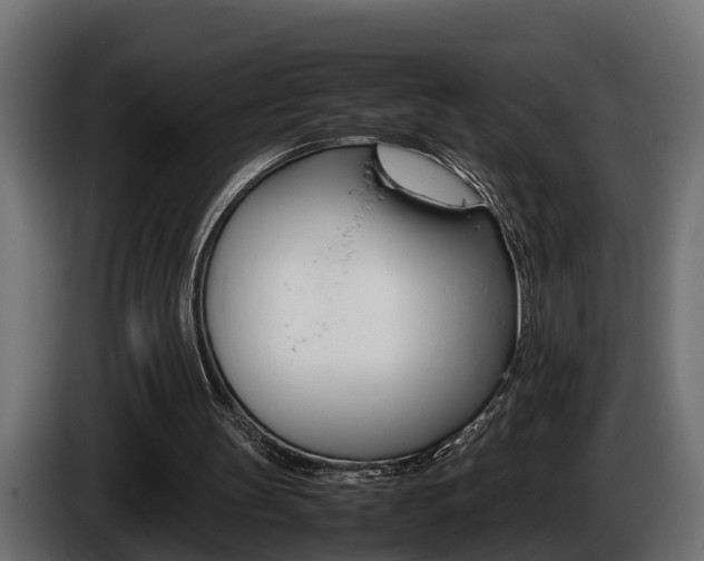 X0000086760147200704130822