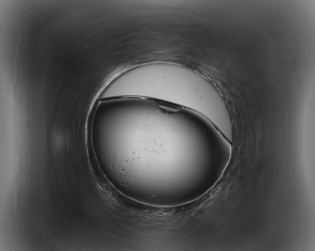 X0000086760148200704130822