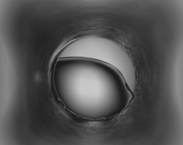 X0000086760150200704130822