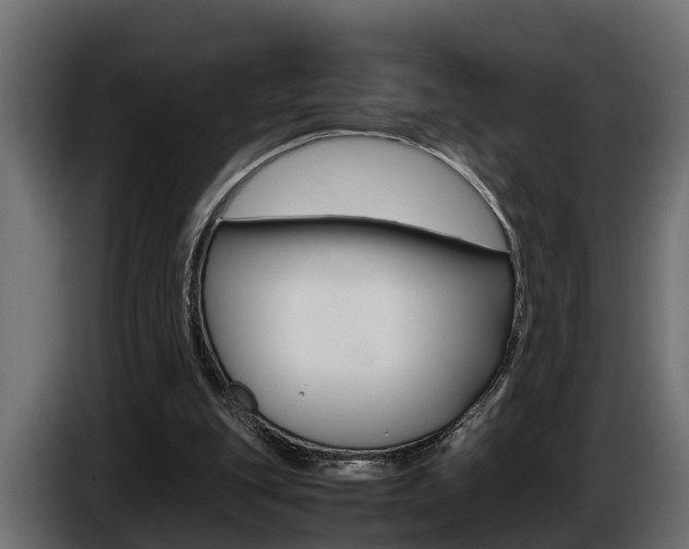X0000086760151200704130822