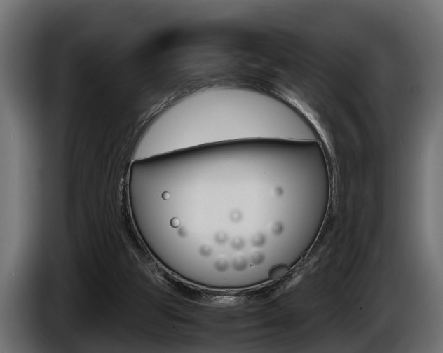 X0000086760153200704130822