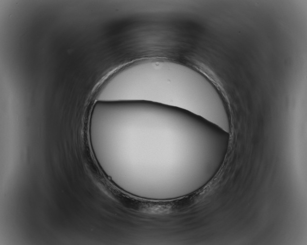 X0000086760155200704130822