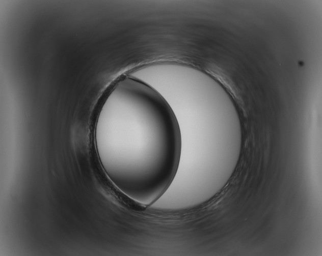 X0000086760156200704130822