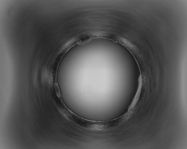 X0000086760158200704130822