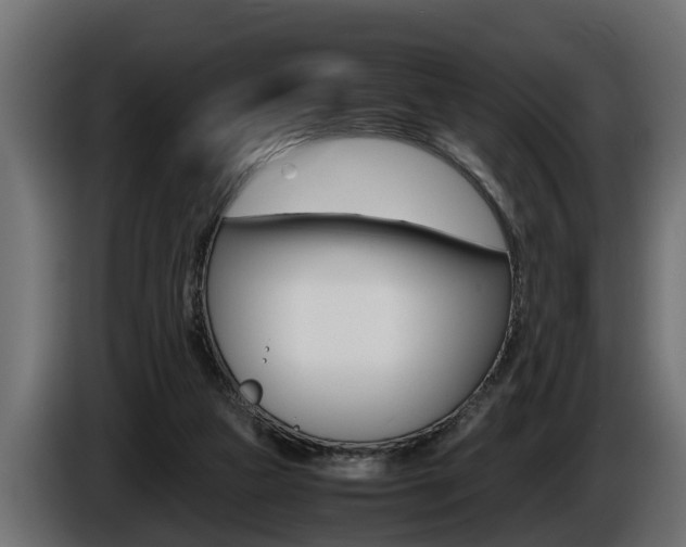 X0000086760161200704130822