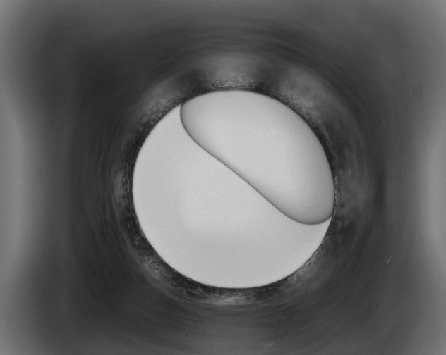 X0000086760162200704130822