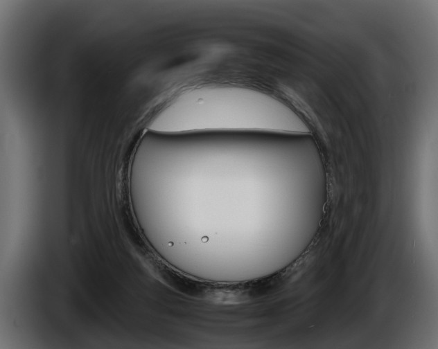 X0000086760163200704130822