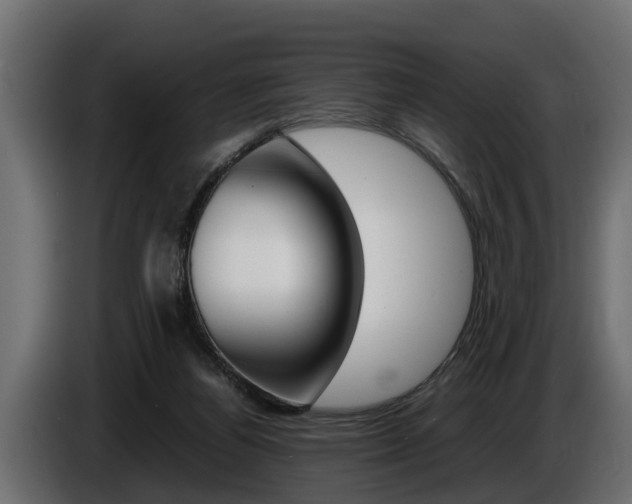X0000086760164200704130822