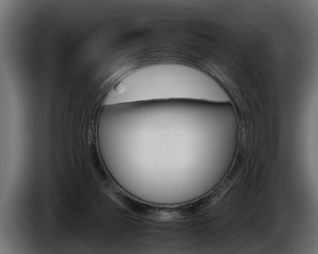 X0000086760165200704130822