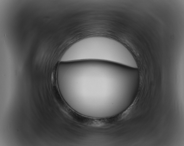 X0000086760166200704130822