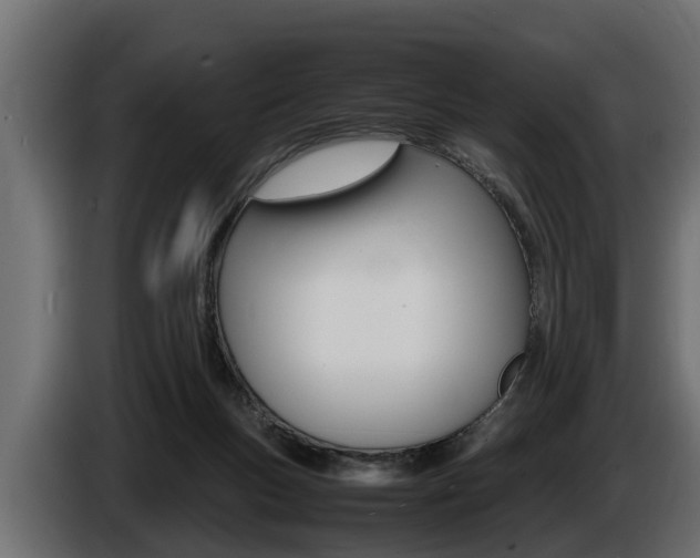 X0000086760167200704130822
