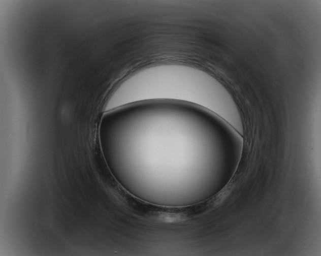 X0000086760168200704130822