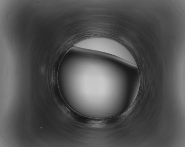 X0000086760170200704130822