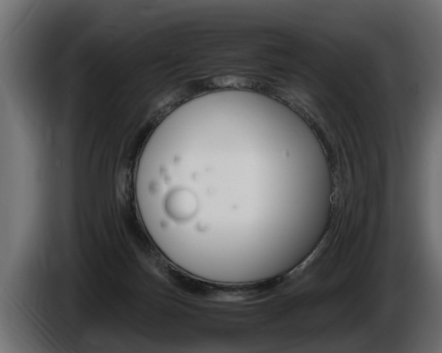 X0000086760171200704130822
