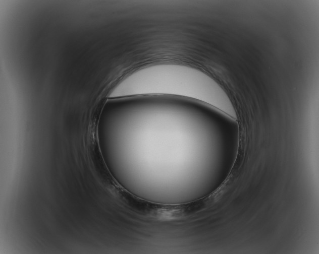 X0000086760172200704130822