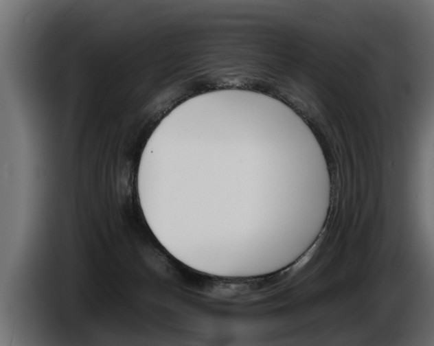 X0000086760174200704130822