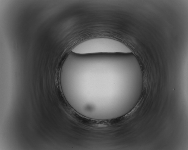 X0000086760175200704130822