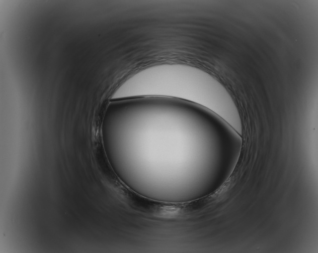 X0000086760176200704130822