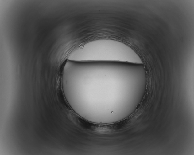 X0000086760177200704130822