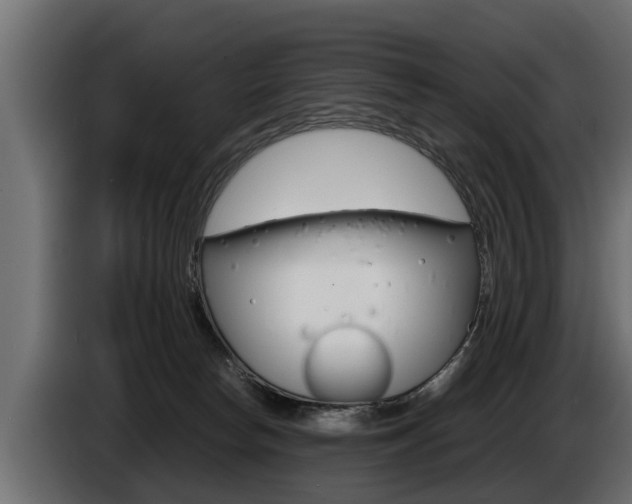 X0000086760178200704130822